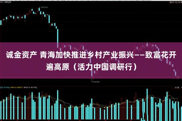 诚金资产 青海加快推进乡村产业振兴——致富花开遍高原（活力中国调研行）