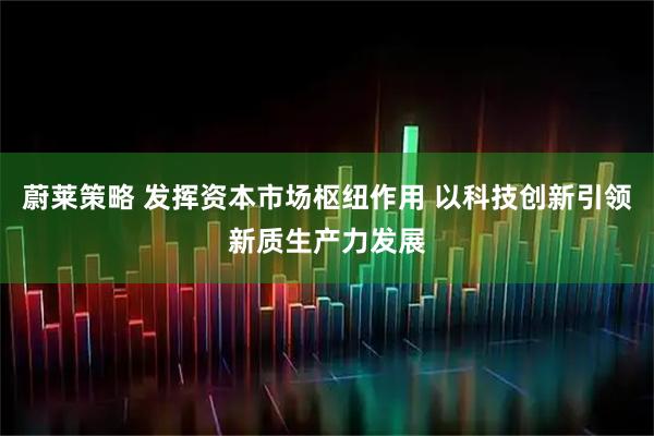 蔚莱策略 发挥资本市场枢纽作用 以科技创新引领新质生产力发展