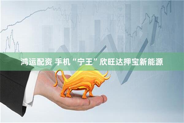 鸿运配资 手机“宁王”欣旺达押宝新能源