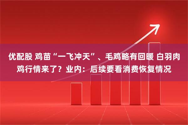优配股 鸡苗“一飞冲天”、毛鸡略有回暖 白羽肉鸡行情来了？业内：后续要看消费恢复情况